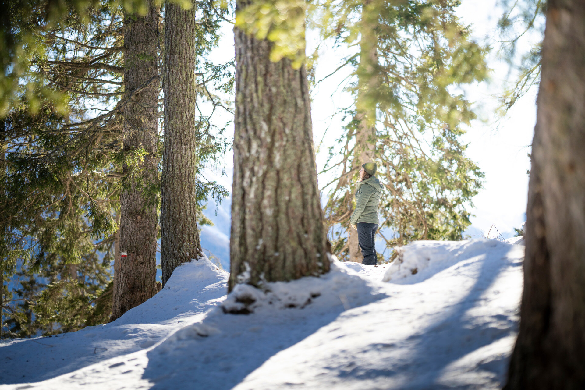 Camminata nei boschi innevati | © Giuseppe Vettori - Archivio ApT Val di Fassa