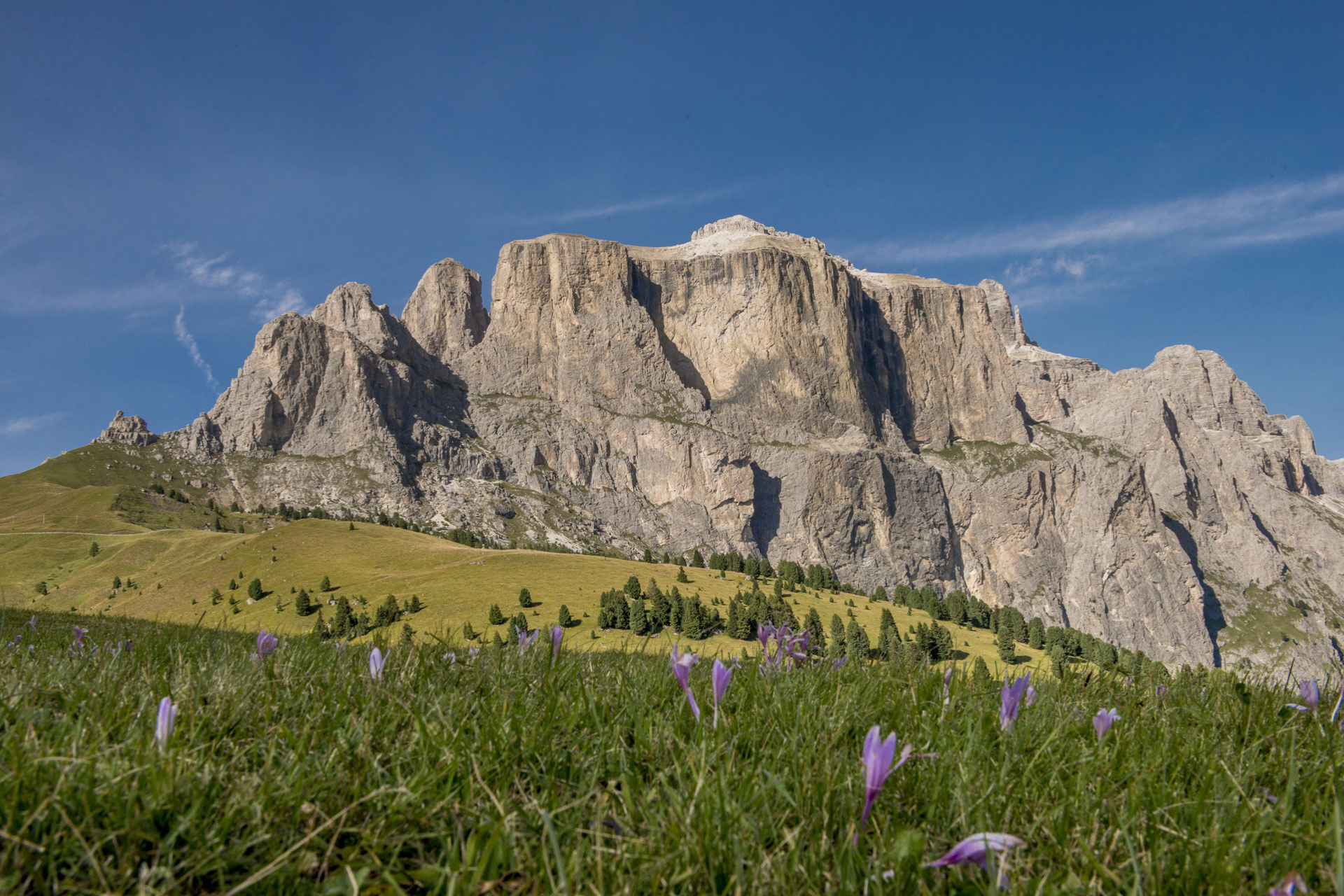 Visualeprimaverile del Passo Sella | © Archivio Immagini ApT Val di Fassa - Alberto Campanile