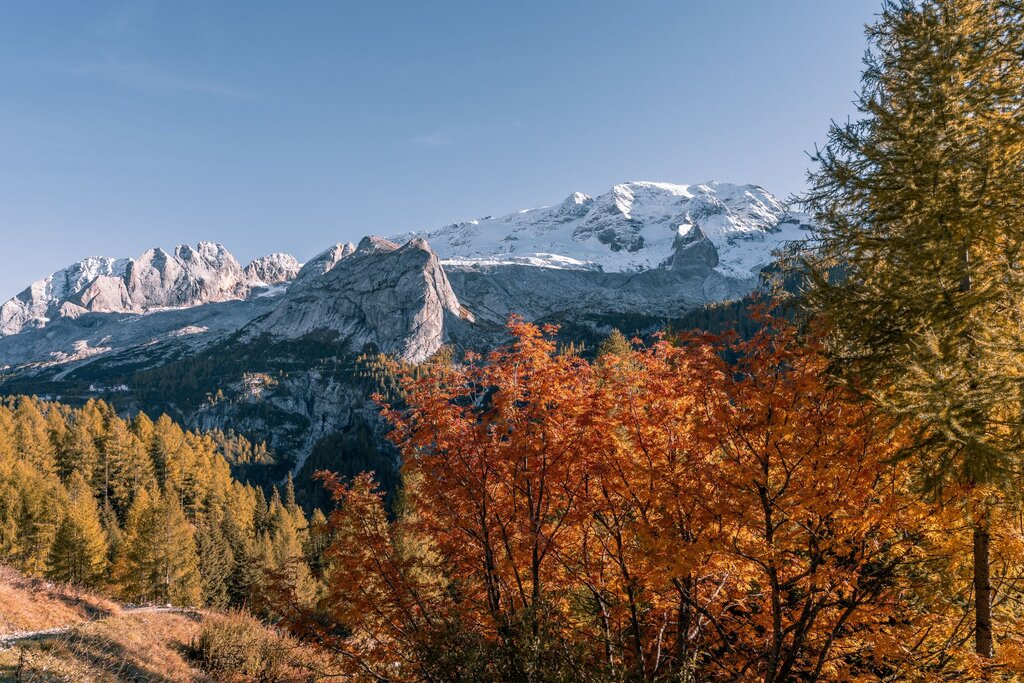 Vista sulla Marmolada innevata e foliage autunnale | © Archivio immagini ApT Val di Fassa - Patricia Ramirez